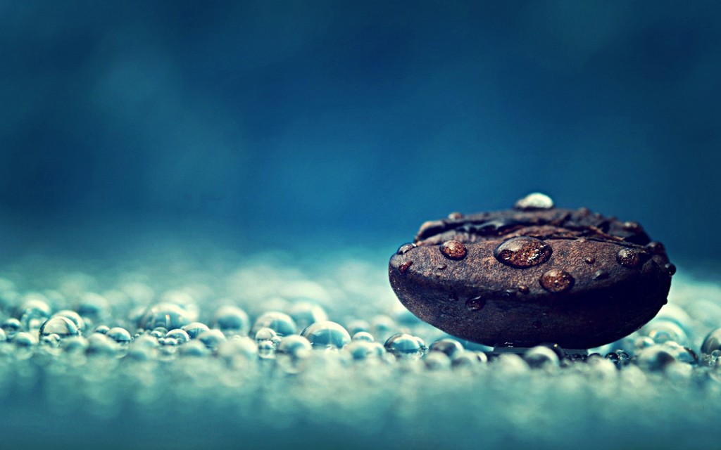 Rain-Coffee-Photography-Water-Drops-Macro-Seeds-Dew