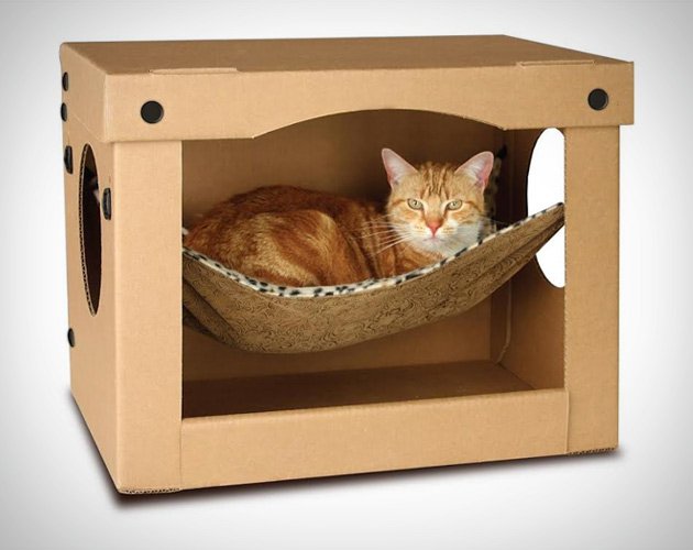 cardboard-box-hammock-cat