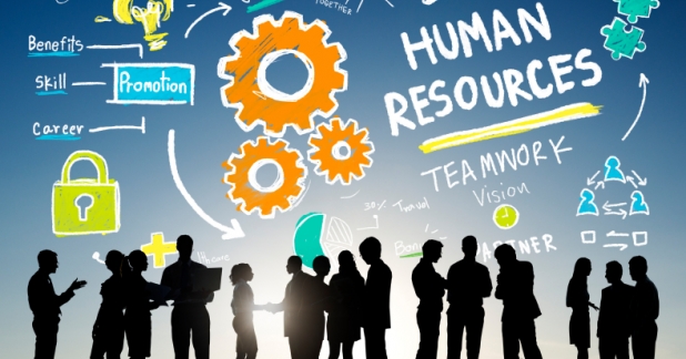 Top tips for improving your business’s HR processes