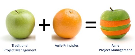 When Does a Business Need Agile Project Management?