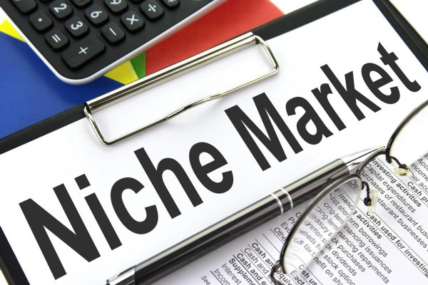 Learn how you can Achieve Success in Business with Niche Marketing