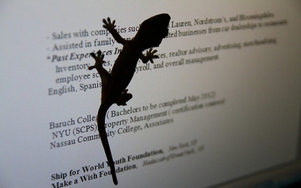 4 Easy Ways to Make Your CV Look more Impressive