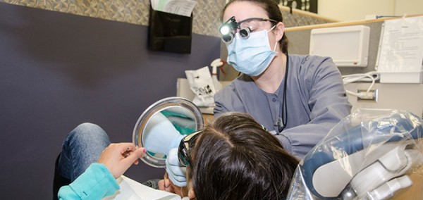 Why Dental Hygienists Are So Popular in the Healthcare Field