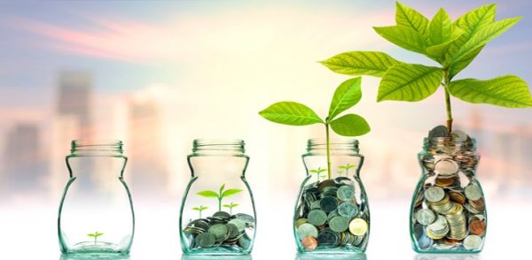 How You Can Grow $100