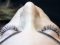 How To Take Care of Eyelashes
