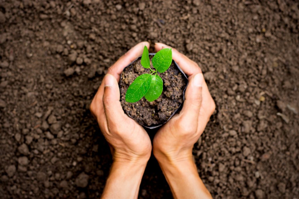 Benefits of Moving to Renewable Energy Sources