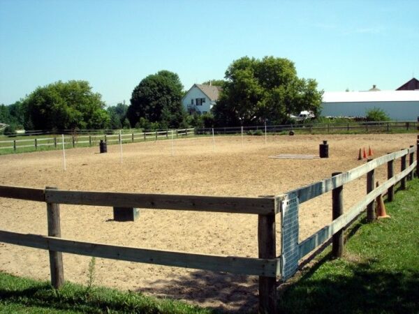 How to choose the right fence for your horses